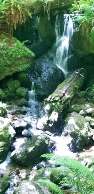 20180624_135918.jpg