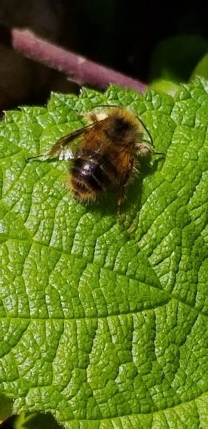 20180623_162328.jpg