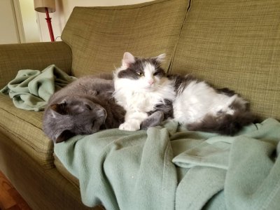 20180409_122631.jpg