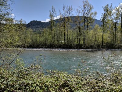 IMG_20180422_142535.jpg