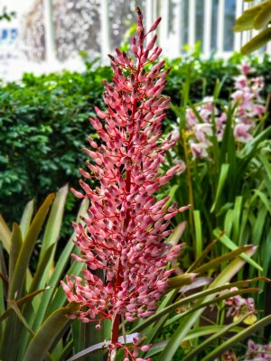 20180422_152613.jpg