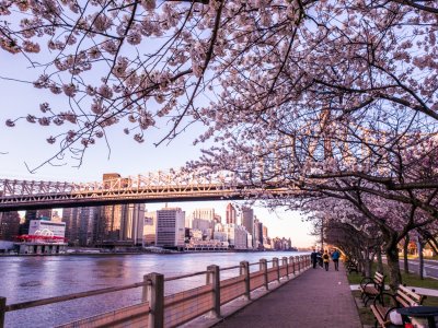 20180422_184249.jpg