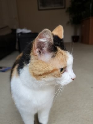 IMG_20180423_083208.jpg