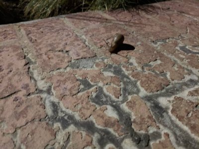 20180803_032601.jpg