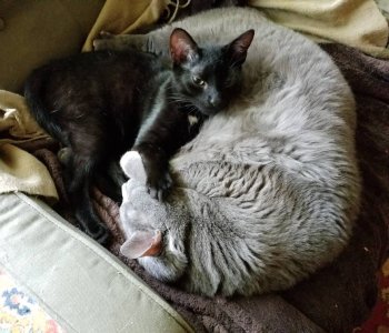 20180423_100205.jpg