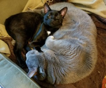 20180423_060923.jpg