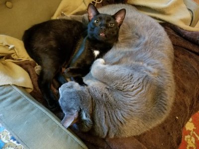 20180422_114319.jpg