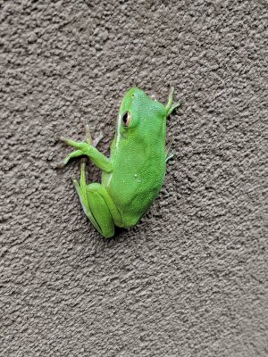 IMG_20180627_174824.jpg