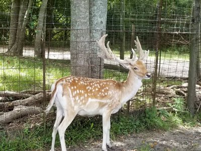 20180804_145140.jpg