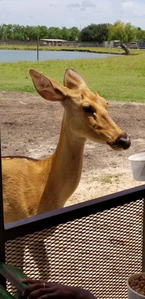20180804_140126.jpg