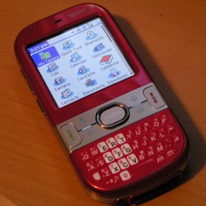 palm centro.jpg