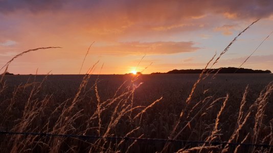 20180728_204858.jpg
