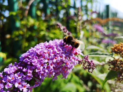 IMG_20180805_103230.jpg