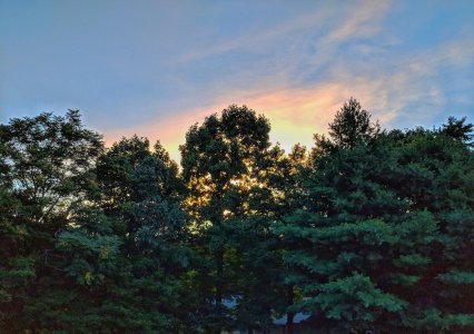 MVIMG_20180628_205315-01-1612x1137.jpeg