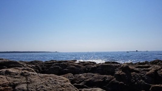 20180805_092100.jpg