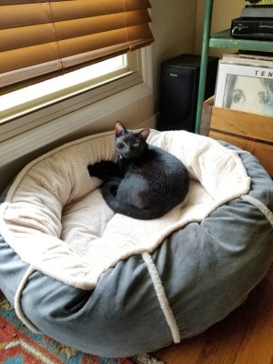 20180630_143431.jpg