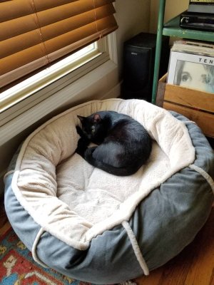 20180630_143644.jpg