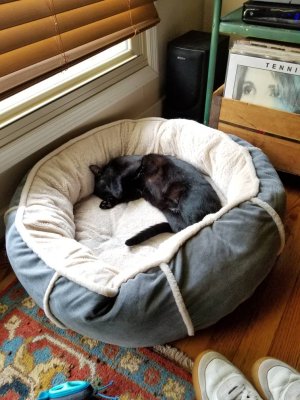 20180630_151227.jpg