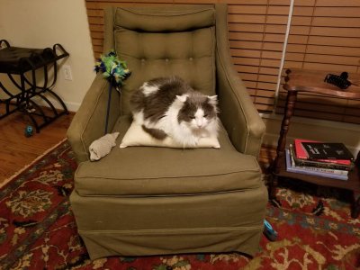 20180627_205615.jpg