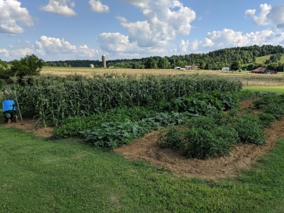 garden.jpg