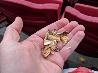 peanuts.jpg