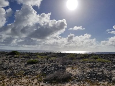20171218_145629.jpg