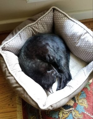 20180701_134416.jpg