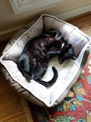 20180701_145110.jpg