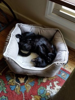 20180701_152024.jpg
