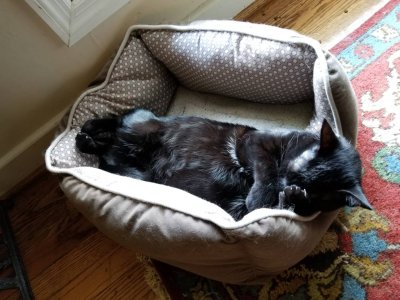20180701_155523.jpg