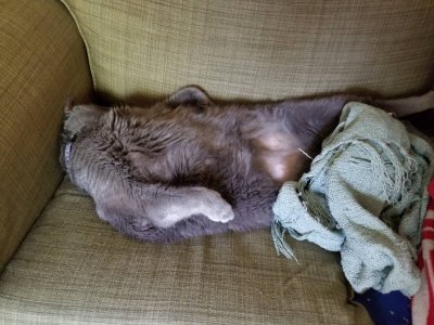 20180701_163205.jpg