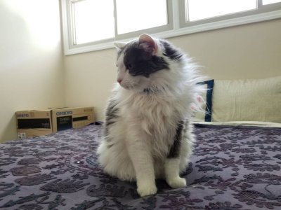 20180701_164429.jpg