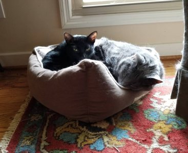 20180702_163211.jpg