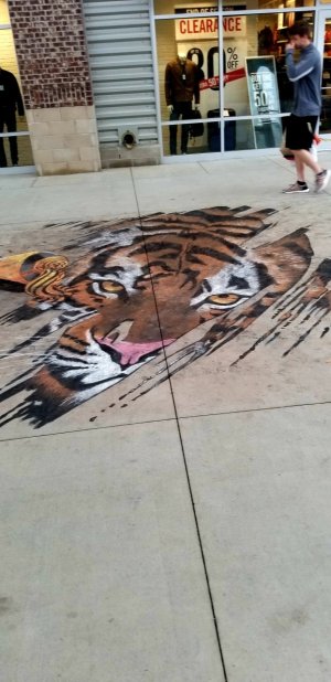 20180623_200352[1].jpg
