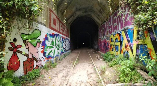 20180804_165556.jpg