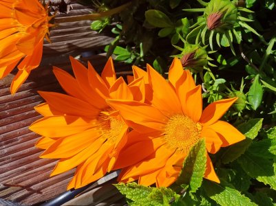 20180626_134553.jpg