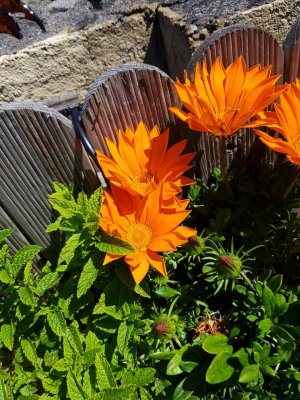 20180624_143723-01.jpg