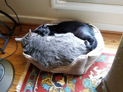 20180704_124828.jpg