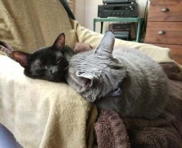 20180430_202406.jpg
