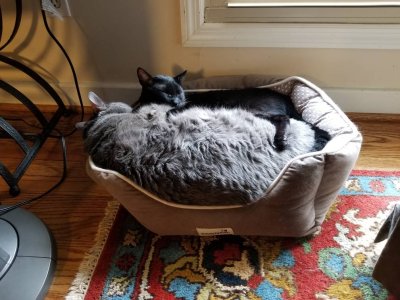 20180704_140140.jpg