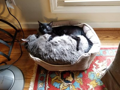 20180704_135319.jpg