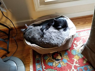 20180704_142956.jpg