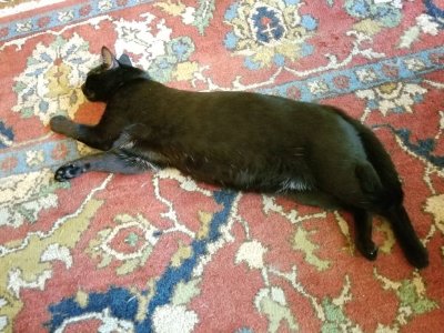 20180704_141736.jpg