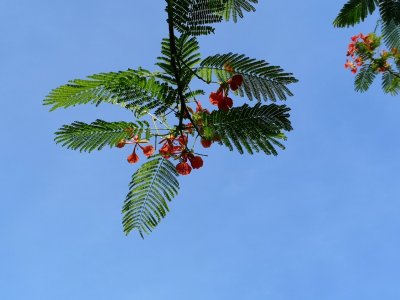IMG_20180623_080627.jpg