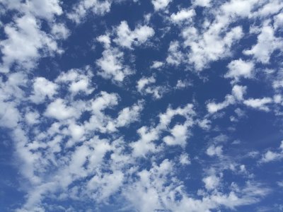 IMG_20180409_160828.jpg