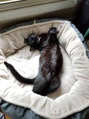 20180810_150631.jpg