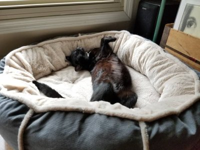 20180810_150659.jpg