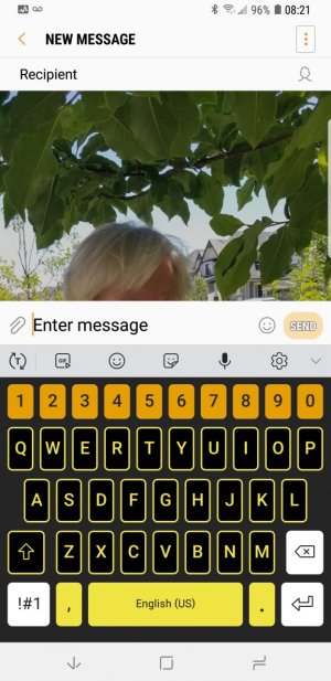 Screenshot_20180812-082102_Messages.jpg
