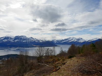 20180502_101203.jpg