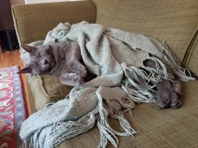 20180812_151706.jpg